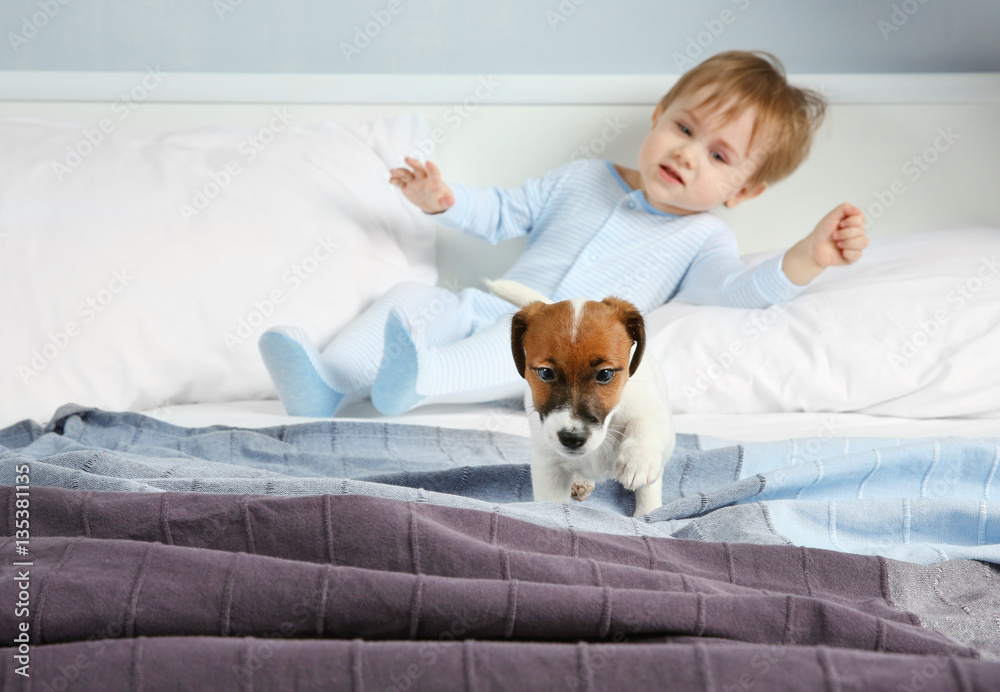 Cute little boy with funny puppy on bed at home Cute little boy with funny puppy on bed at home