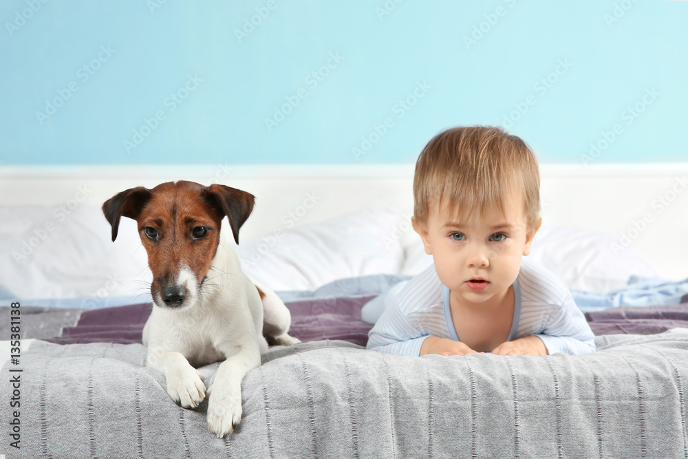 Cute little boy with funny dog on bed at home Cute little boy with funny dog on bed at home