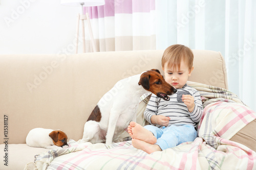 Cute little boy with dogs o...