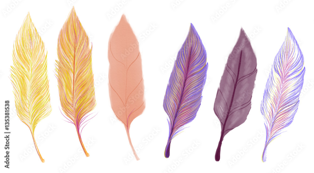 Drawn by pencil and watercolor colorful set of feathers, illustration by hand