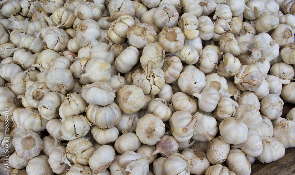 White garlic pile on market display. Fresh white garlic for sale. White garlic pile on market display. Fresh white garlic for sale.