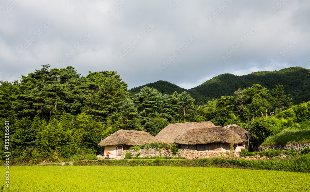 덕치리 초가집 덕치리 초가집
