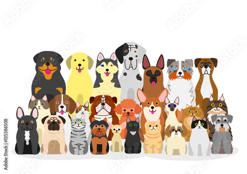 group of dogs and cats