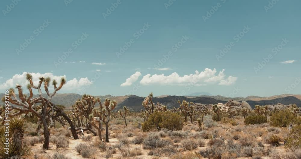 Time Lapse of Clouds over Joshua Tree National Park, California Desert