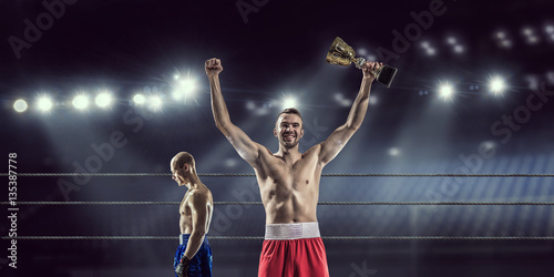 Professional box champion . Mixed media . Mixed media © Sergey Nivens