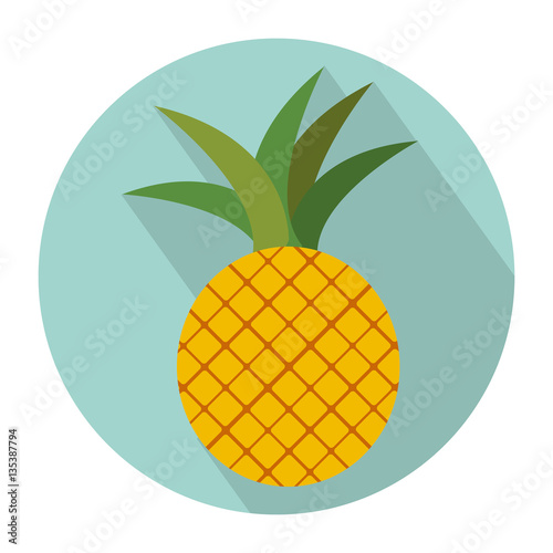 colorful circular shape with pineapple fruit vector illustration