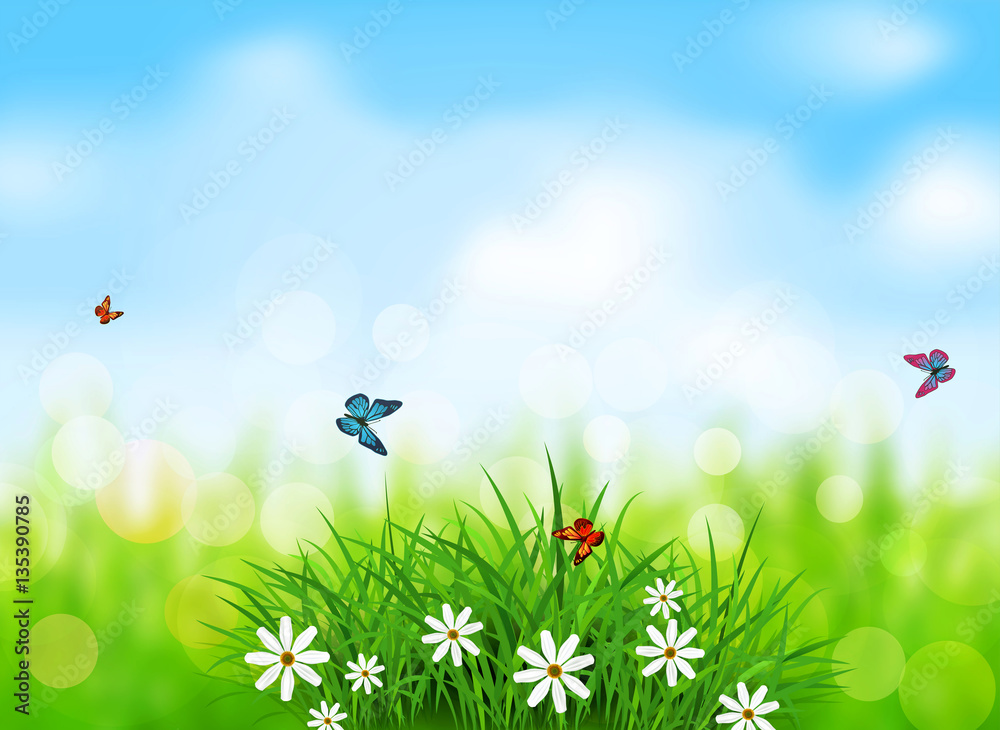 Vector element for design. Green grass with white flowers, butte