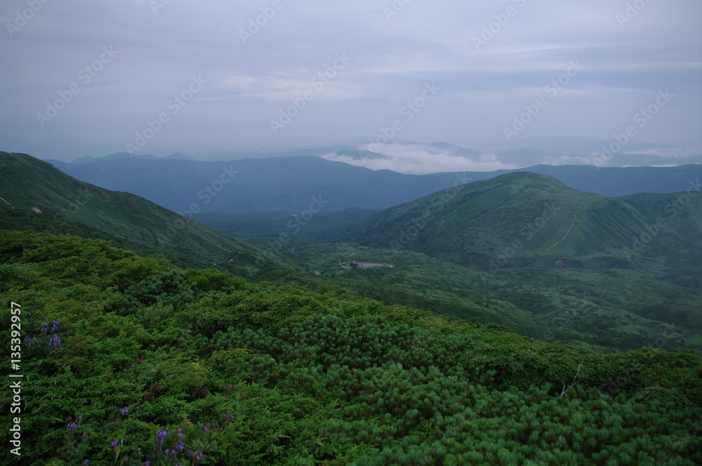 Fototapeta premium 秋田駒ヶ岳 登山道