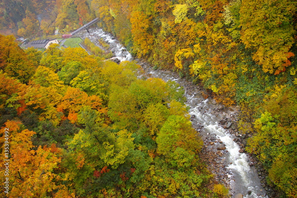 Obraz premium 秋田県玉川温泉 風景 紅葉