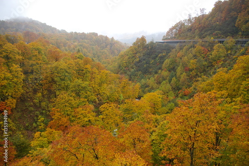 秋田県玉川温泉 風景 紅葉