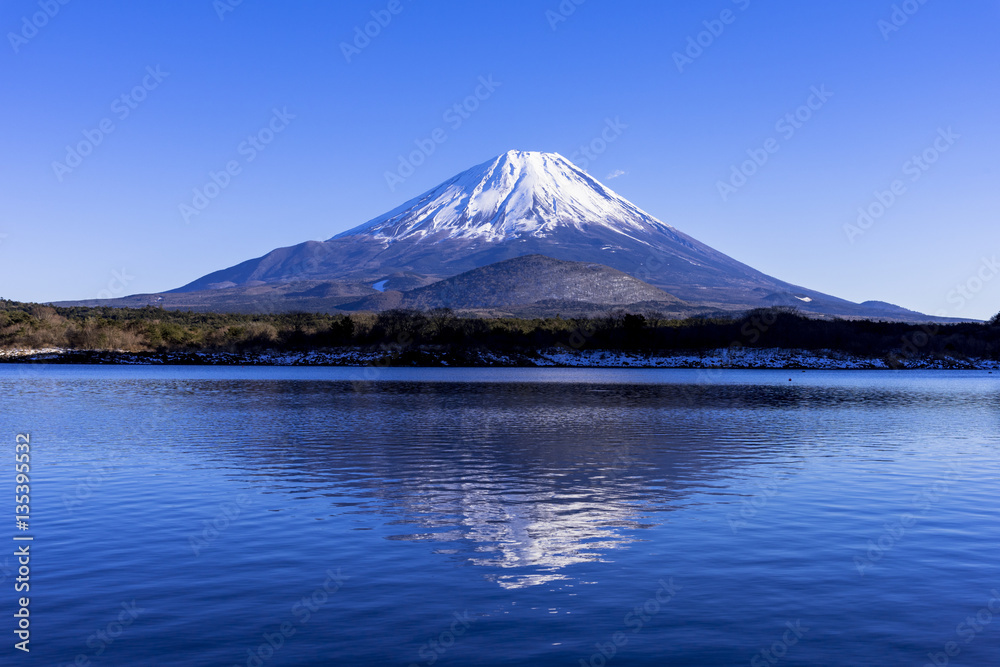 精進湖より逆さ富士 精進湖より逆さ富士