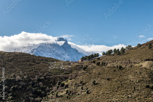 Small hut and fir trees with snow covered Monte Padru in Corsica