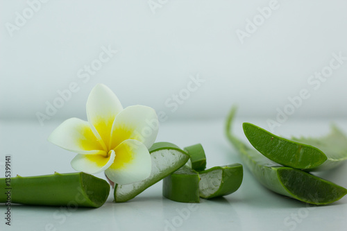 Aloe Vera sliced  isolated on a white background for health.