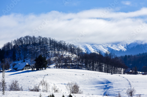 Fototapeta Naklejka Na Ścianę i Meble -  winter landscape with a mountain village in Romania