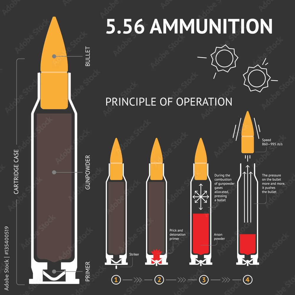 Infographics about the principle of bullet operation. Vector