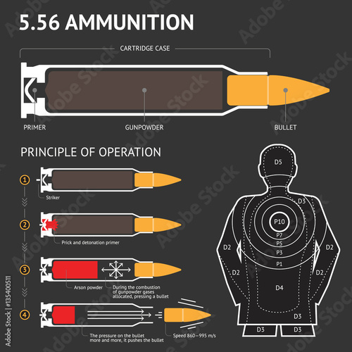 Infographics about the principle of bullet operation. Vector