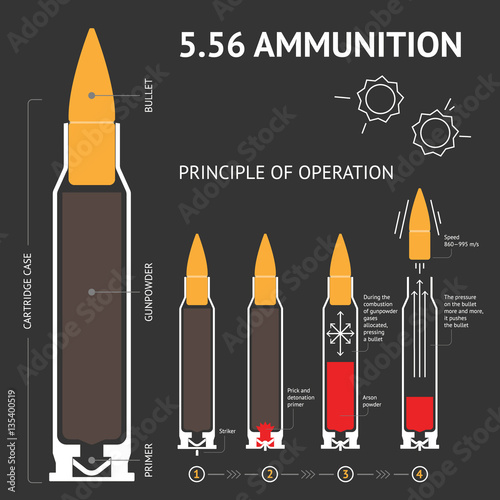 Infographics about the principle of bullet operation. Vector