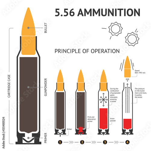 Infographics about the principle of bullet operation. Vector