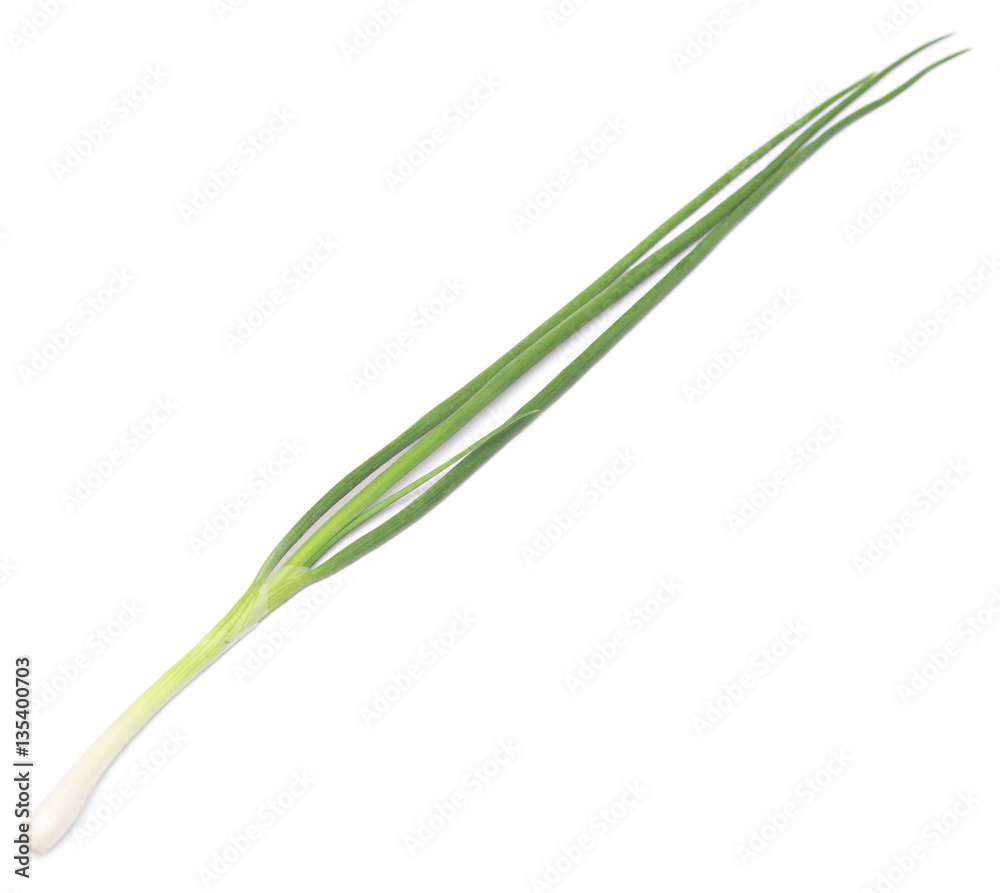 green onion green onion