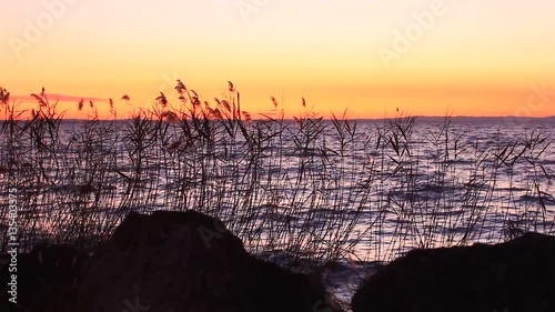 Tramonto sul lago con canneto