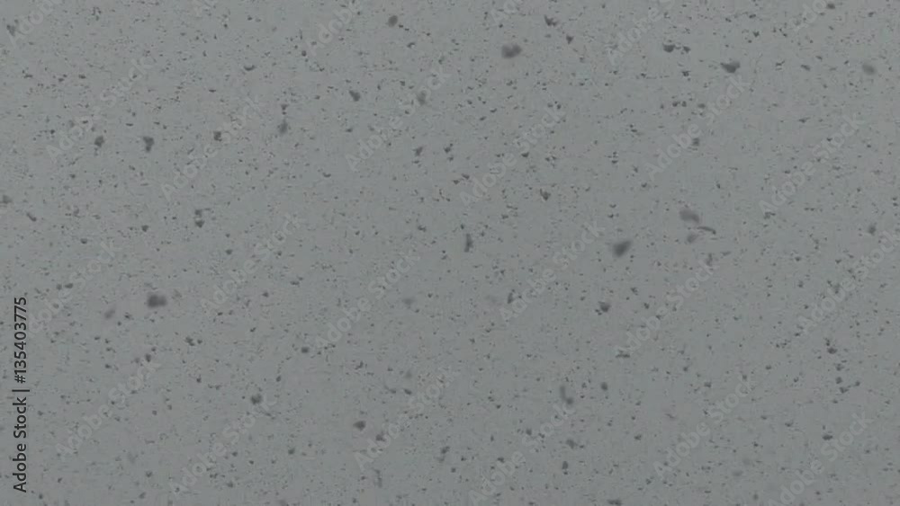 Slow motion snow falling Slow motion snow falling