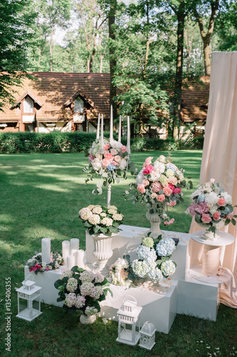 Daylights illumiante white Greek vases with hydrangeas