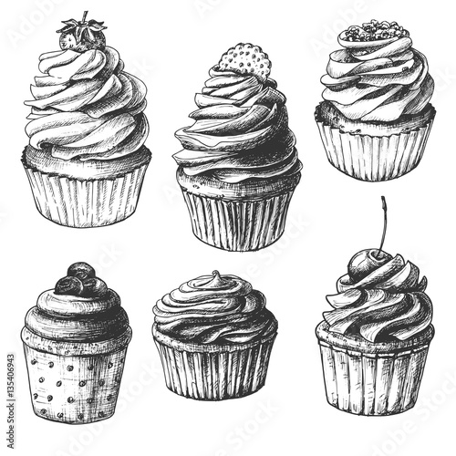 Hand drawn cupcakes, set of vintage food sketches, isolated on white background. Vector illustration.