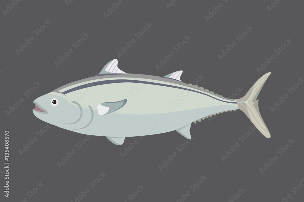 Tuna fish in flat style. Cool vector illustration for print, web, menu or package. Seafood design element Tuna fish in flat style. Cool vector illustration for print, web, menu or package. Seafood design element