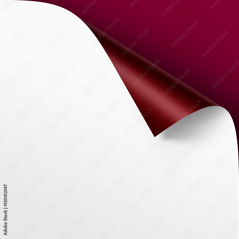 Vector Curled corner of White paper with shadow Mock up Close up Isolated on Vinous Background Vector Curled corner of White paper with shadow Mock up Close up Isolated on Vinous Background