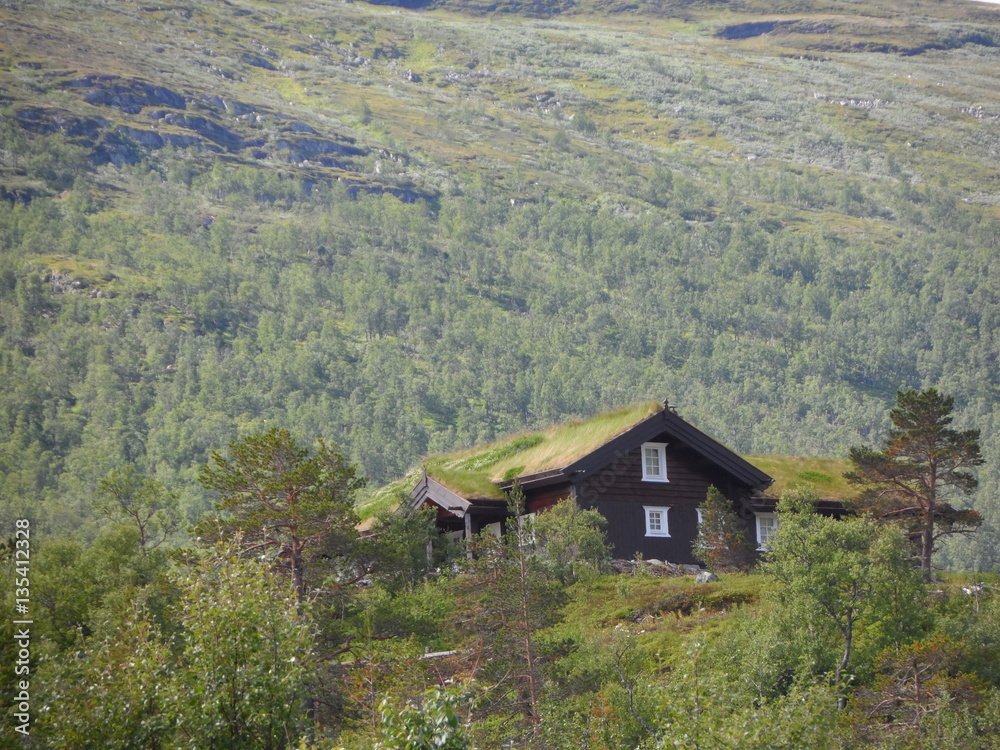 House in Scandinavia House in Scandinavia