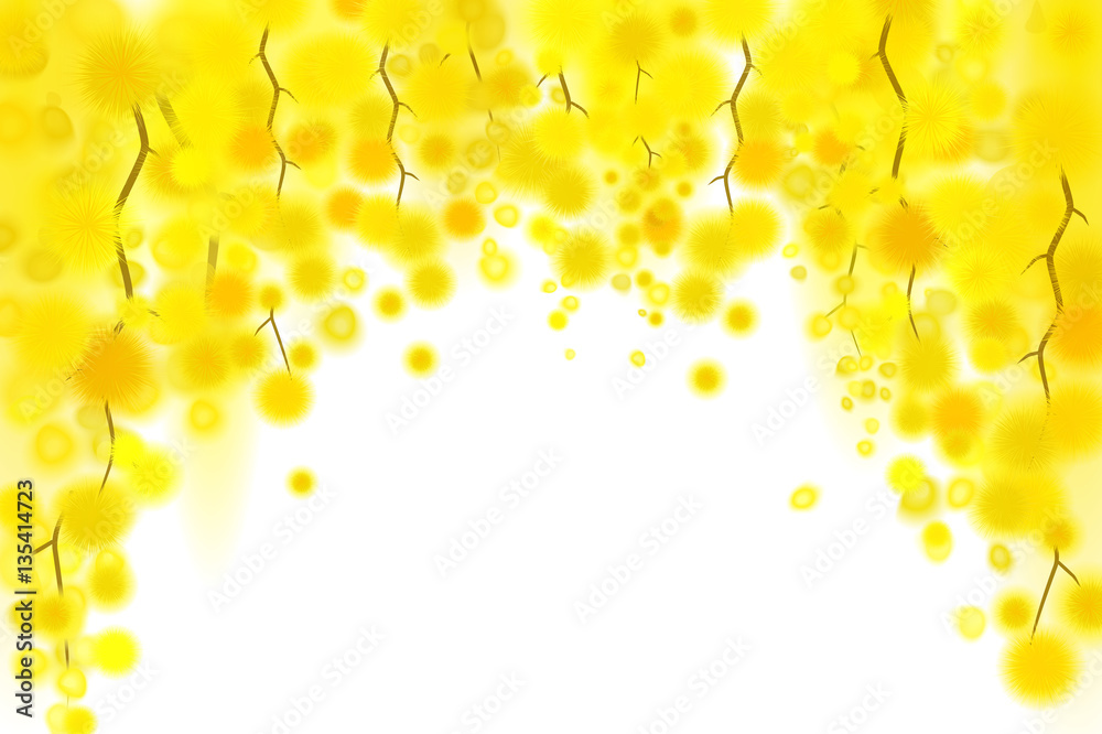 Yellow mimosa spring flowers vertical garland on white background. Yellow mimosa spring flowers vertical garland on white background.