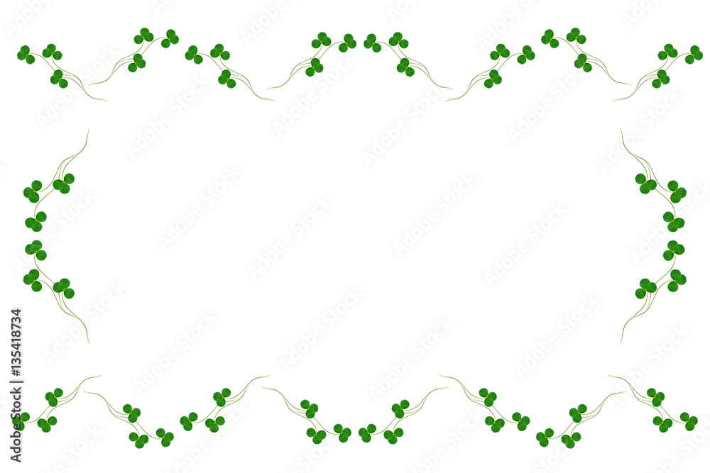 green clover leaves isolated on white background. St.Patrick 's green clover leaves isolated on white background. St.Patrick 's