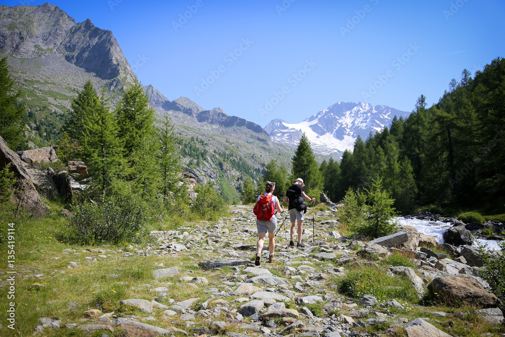 Fototapeta premium Mountain walking in a summer day