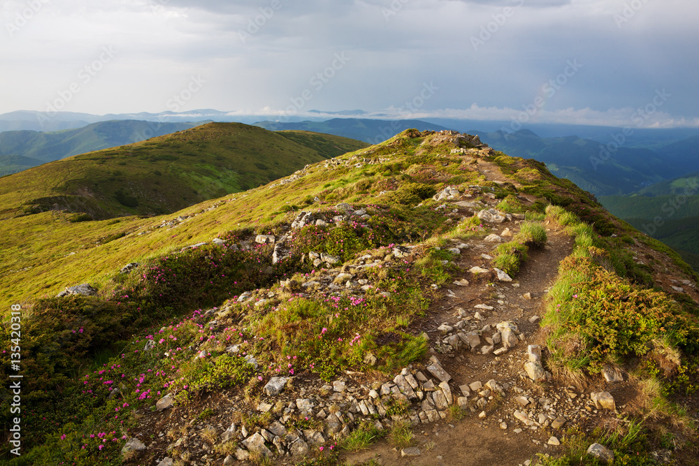 Beautiful view of the sky at sunset in Carpathians in the summer Beautiful view of the sky at sunset in Carpathians in the summer