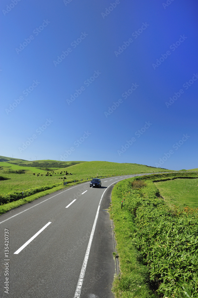 Fototapeta premium 道