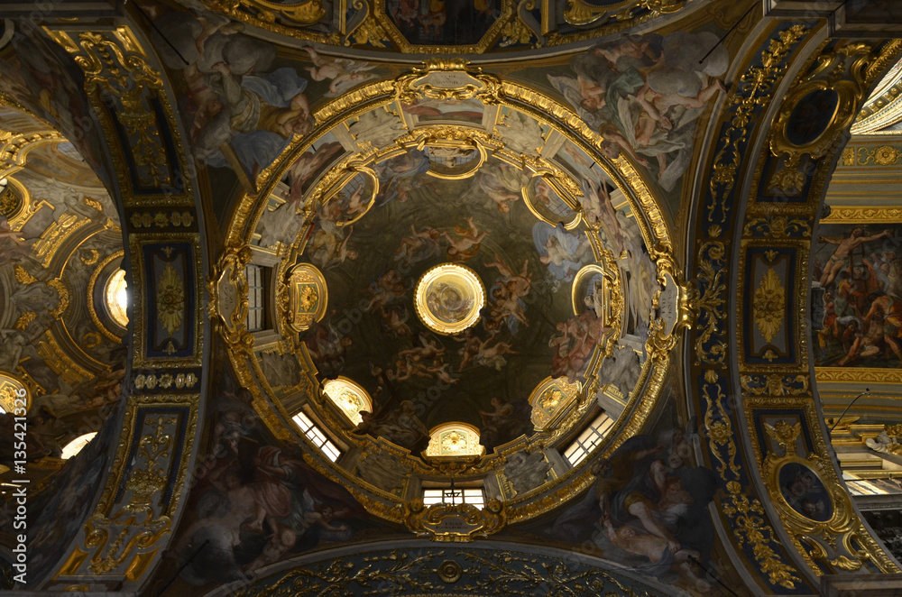 Fototapeta premium Genovese