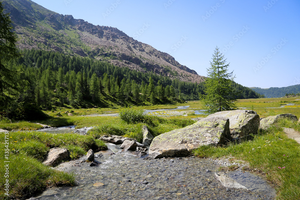 Italian alps in a summer day