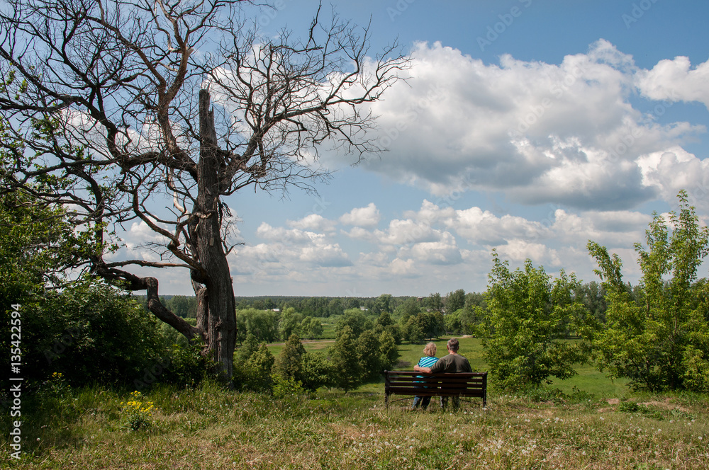 The two elderly people sitting on a bench under a tree with a good view of nature The two elderly people sitting on a bench under a tree with a good view of nature