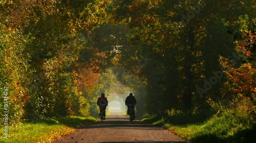 A retired couple riding a bicycle on long colorful avenue in autumn 4k 11777. People are NOT recognizable!
