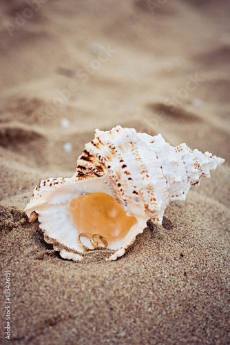 Wedding rings in a shell on sea coast