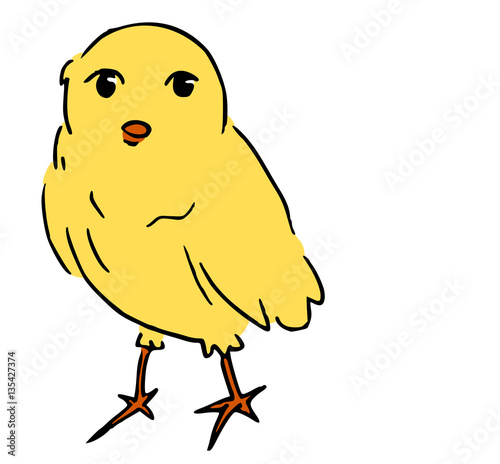 Zangvogel