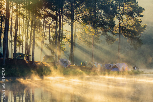 Photography Beautiful landscape morning sunrise over stream and pine tree camping in lake with ray of light