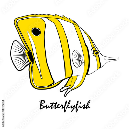 Butterflylfish Saltwater Aquarium Fish vector illustration