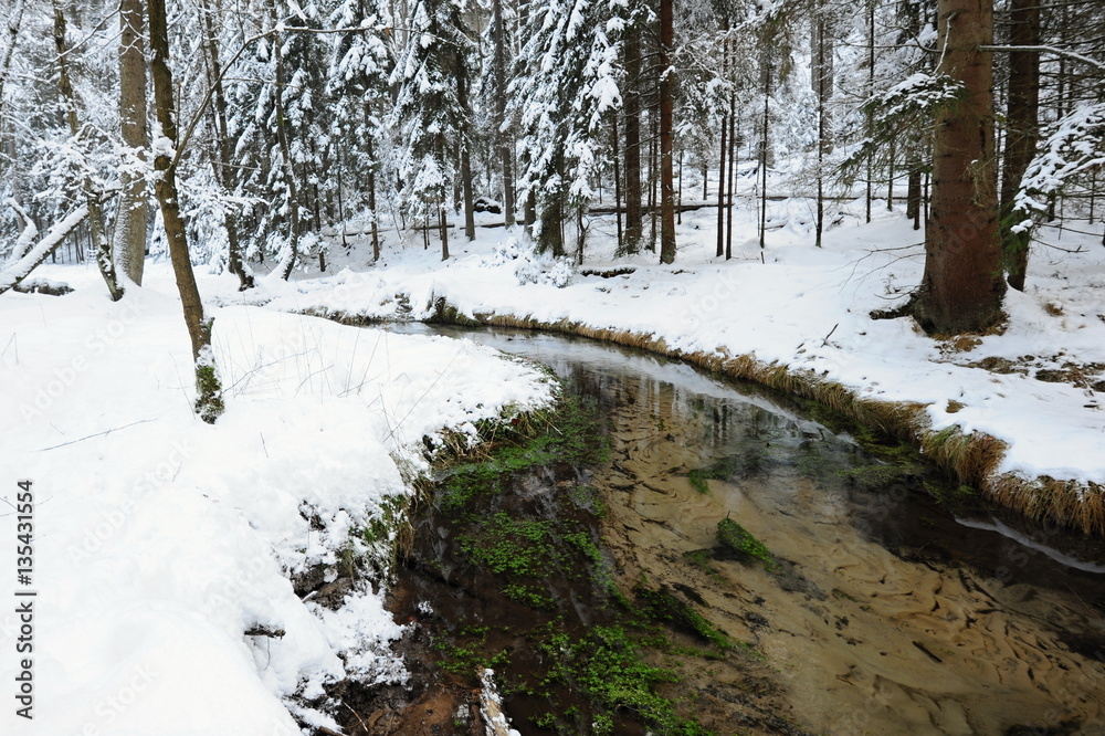 Winter creek of Bohemian Switzerland Winter creek of Bohemian Switzerland