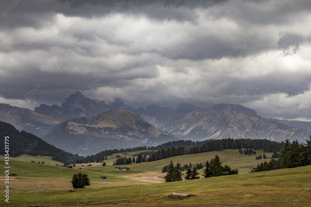 Auf der Seiser - Alm