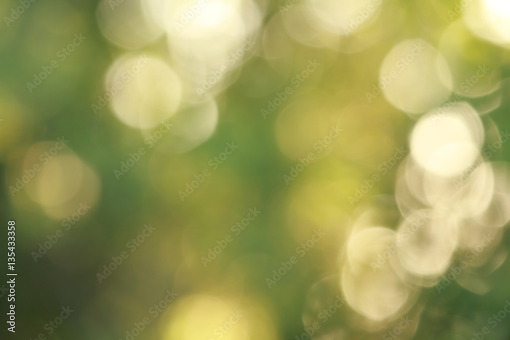 Fototapeta premium green blurred background