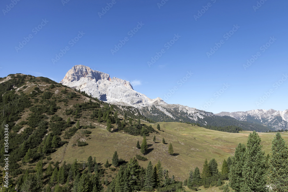 Fototapeta premium Plaetzwiese, Suedtirol
