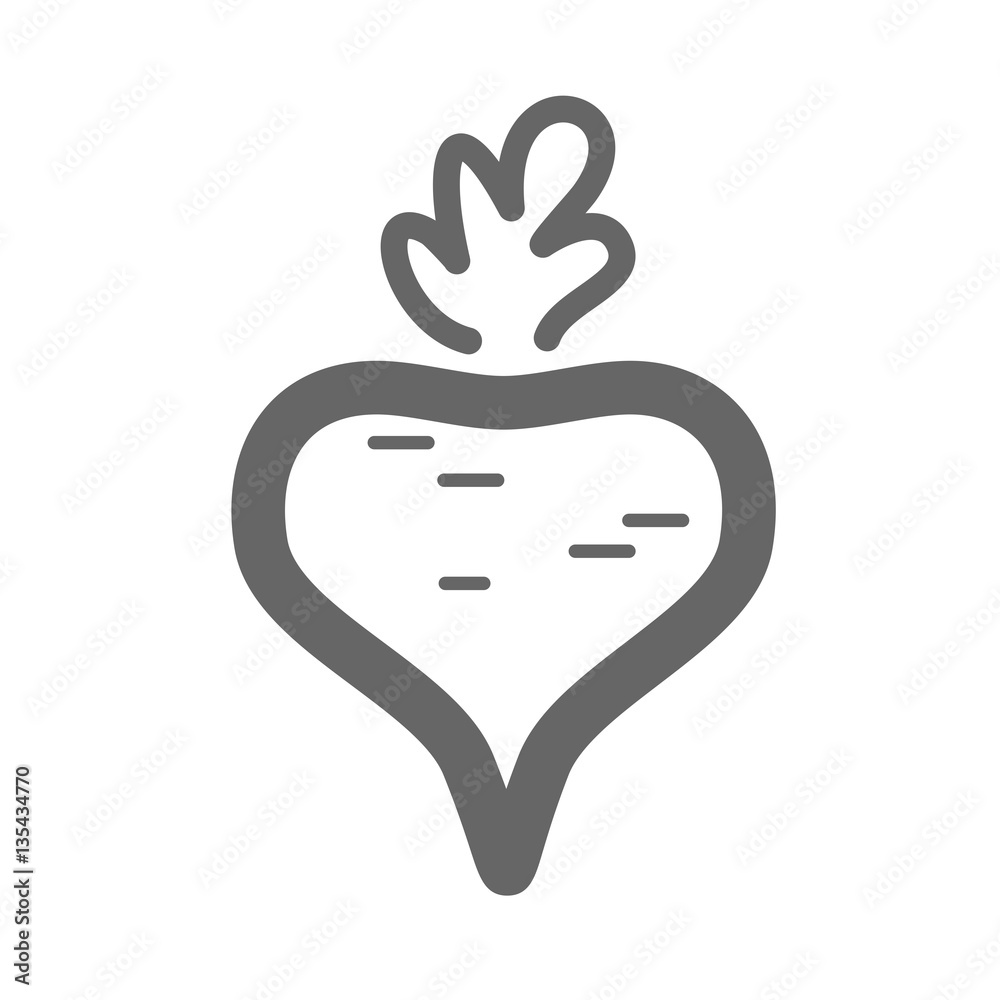 Obraz premium Beet outline icon. Vegetable vector