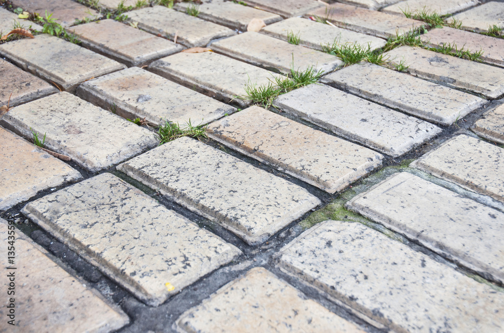 Old brick patio pavement in the garden. StockFoto Adobe Stock