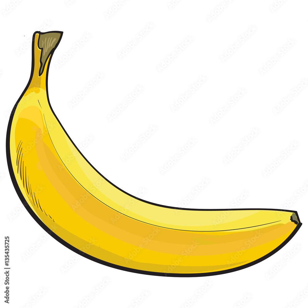 One unopened, unpeeled ripe banana, sketch style vector illustration
